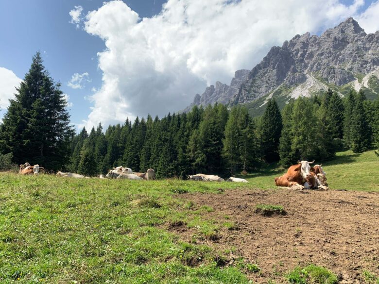 Gruppo delle Marmarole - Pian dei buoi