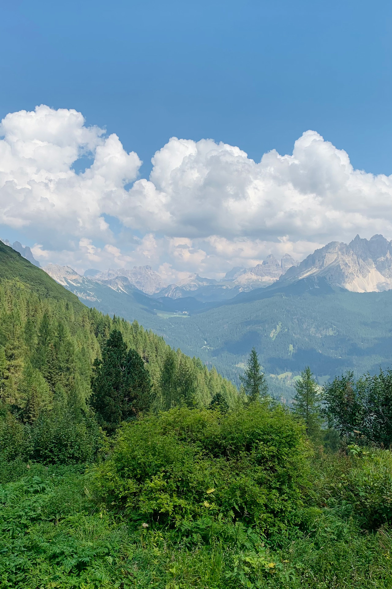 7-sentiero-215-vandelli-sorapis-vista-verso-misurina-tre-cime